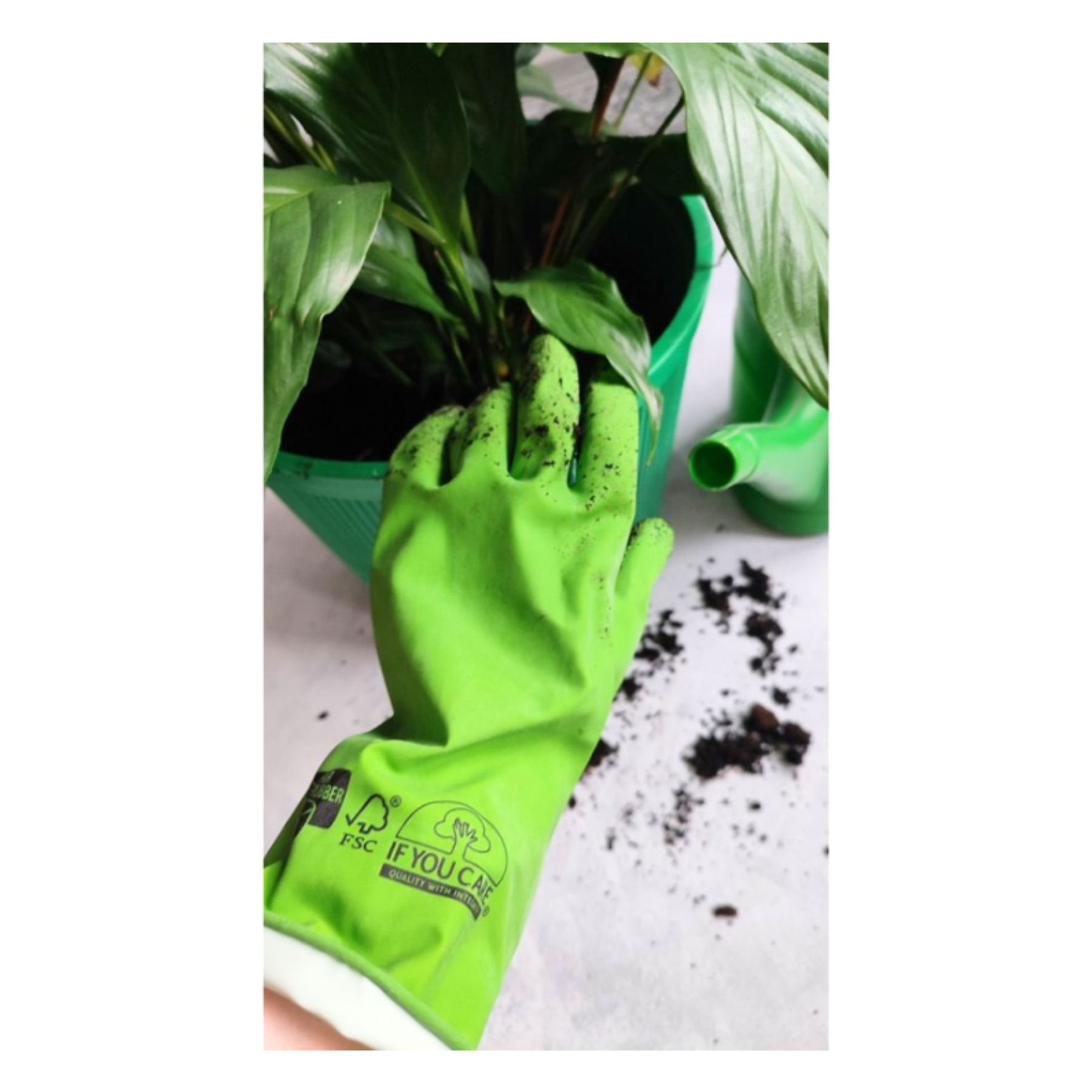Groene huishoudhandschoenen If You Care van fair rubber gebruikt voor tuinieren en planten verzorgen – eco handschoenen